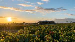 News Foster + Partners and JTRE establish winery in Bordeaux