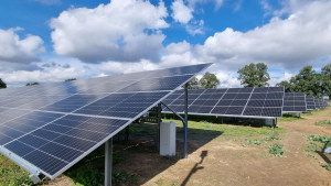 News Ghelamco’s first photovoltaic farms are ready