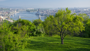 News Huge plot changes hands in the suburbs of Budapest