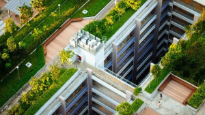 News Office buildings to become major part of urban biodiversity