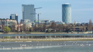 News Strong demand for new Bucharest office space