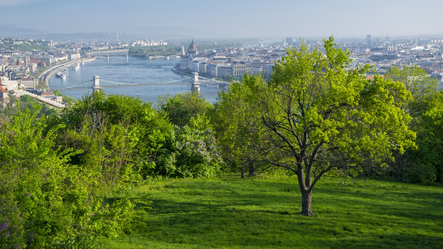 News Article Budapest certification Colliers green Hungary office report
