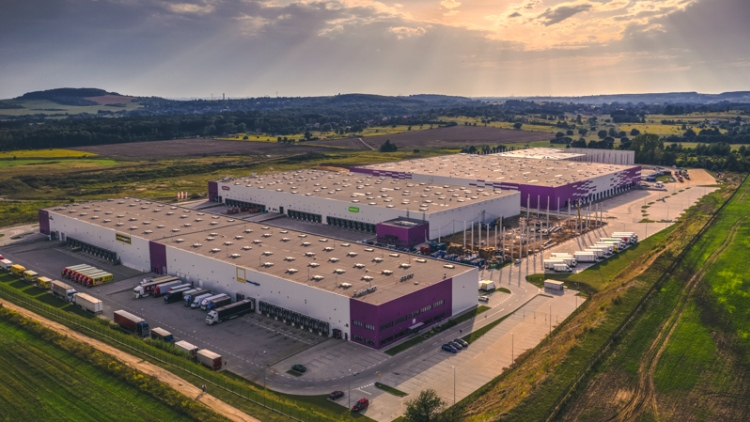 News Article coronavirus development DL Invest Group industrial interview logistics Poland retail