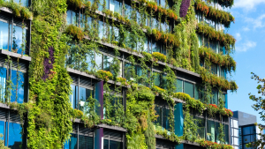 News Real estate is going green – What’s driving the change?
